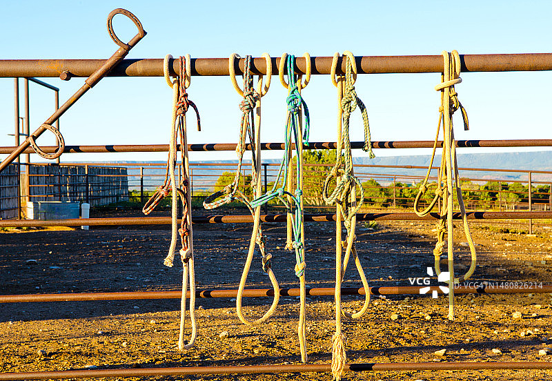 新墨西哥州北部栅栏上的缰绳图片素材