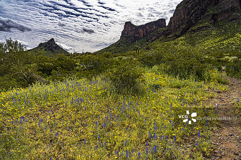 亚利桑那州皮卡乔峰州立公园图片素材