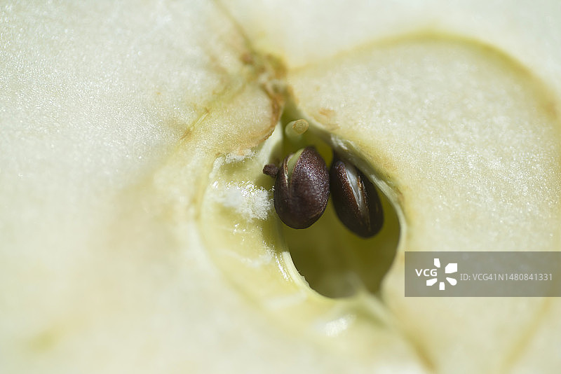 带籽的苹果核图片素材