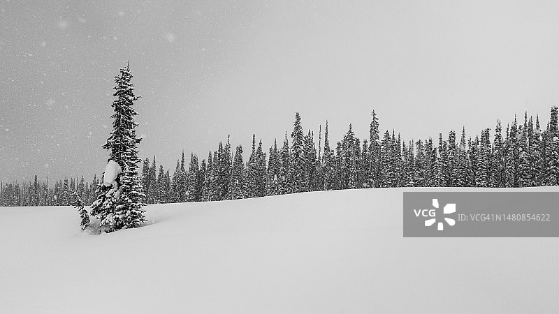 莫纳希山脉的偏远地区滑雪图片素材