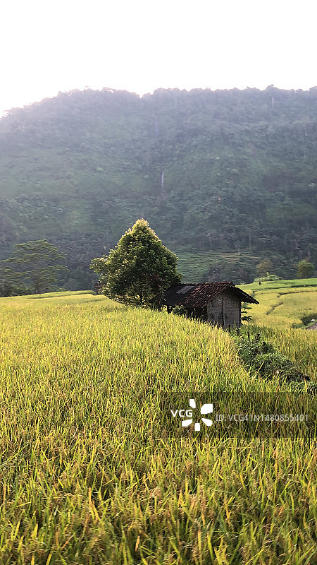 人间天堂图片素材