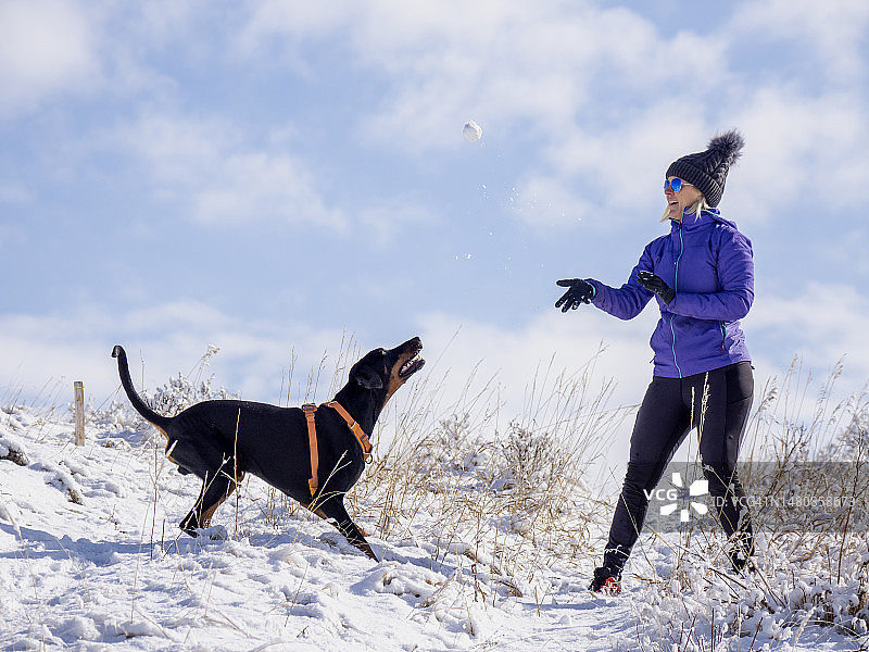 女人在雪地里和小狗玩耍图片素材