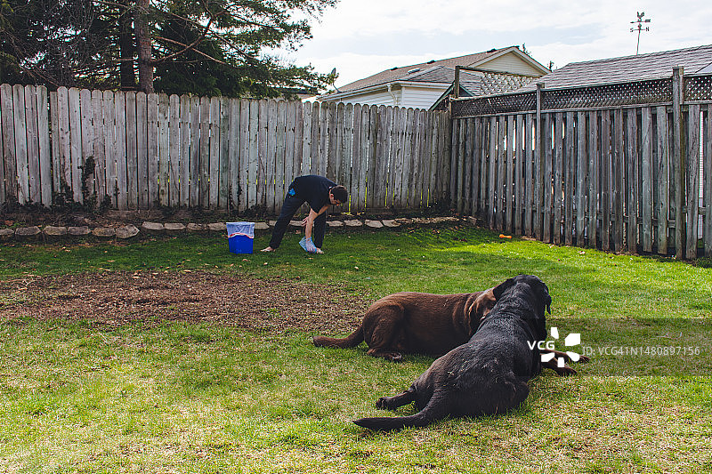 男人和他的拉布拉多犬在后院图片素材