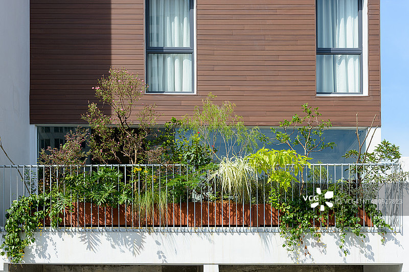 阳台上的植物图片素材