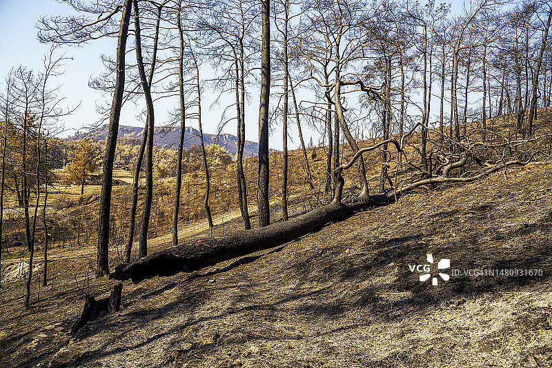 土耳其安塔利亚马纳夫加特森林火灾图片素材