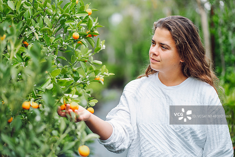 橘子园：卷发女子在植物园中抱着橘子树枝图片素材