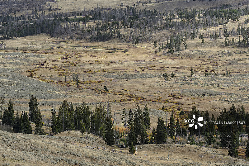 黄石国家公园黑尾高原的壮丽景色图片素材