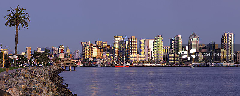 圣地亚哥天际线全景与棕榈树图片素材