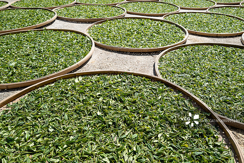 散开的干燥茶叶图片素材