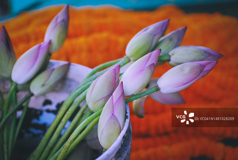 印度教寺庙外的花市图片素材