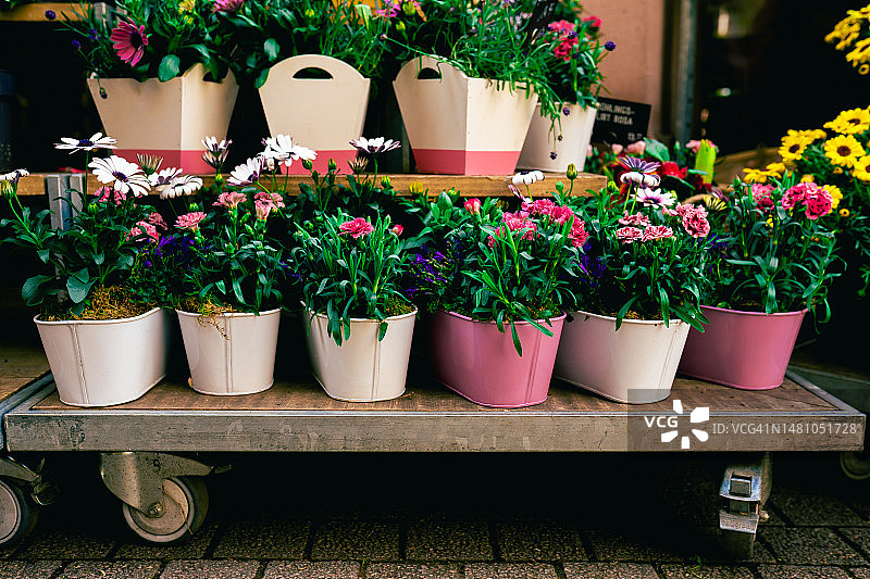 德国海德堡花店外的鲜花，城市街道上的花卉市场图片素材
