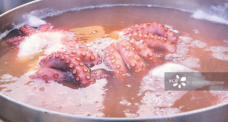 烹饪章鱼图片素材