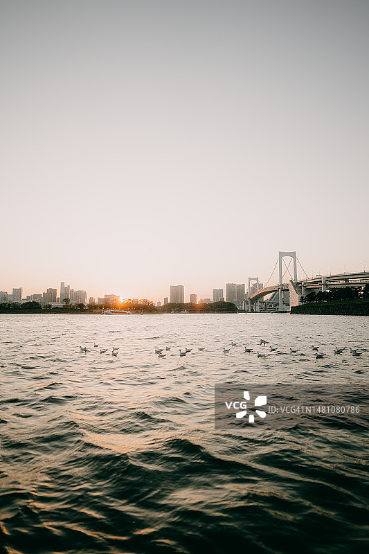 东京彩虹大桥日落景色图片素材
