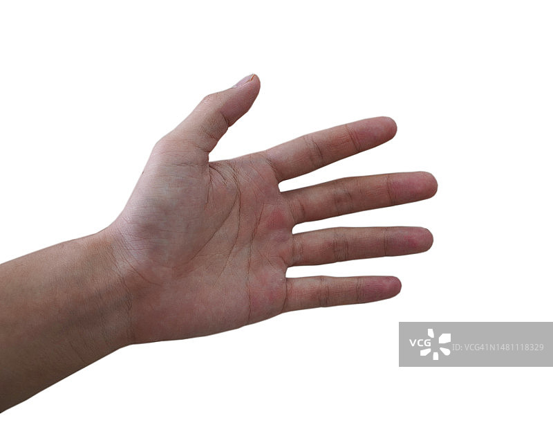 亚洲男子手势五特写：手背朝后图片素材