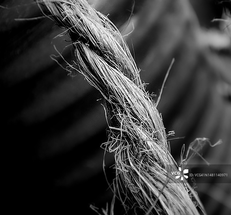 黄麻绳的微小纹理图片素材