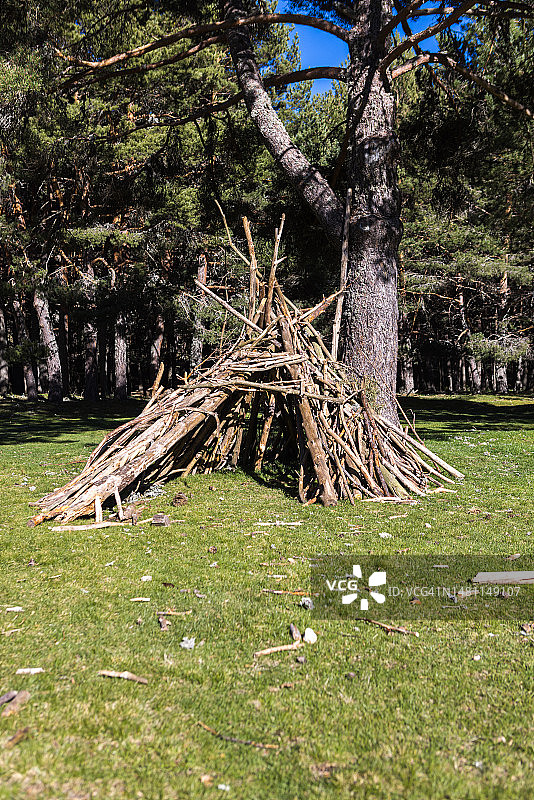 森林空地上的树枝避难所：露营与户外探险图片素材