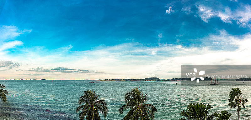 棕榈树和帆船热带海景全景图片素材