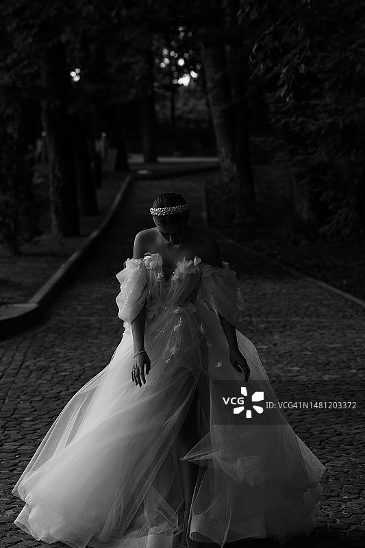 美丽的新娘 - 摄影素材图片素材