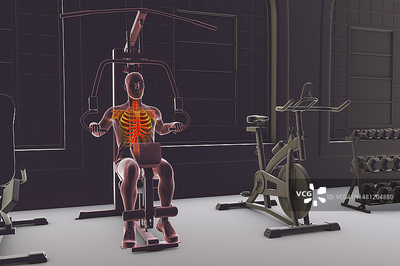 在力量训练器械上训练的骨骼插画图片素材