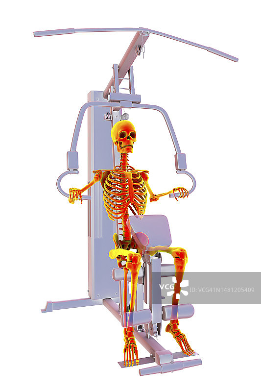 在力量训练器械上训练的骨骼插画图片素材
