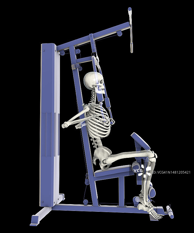 在力量训练器械上训练的骨骼插画图片素材