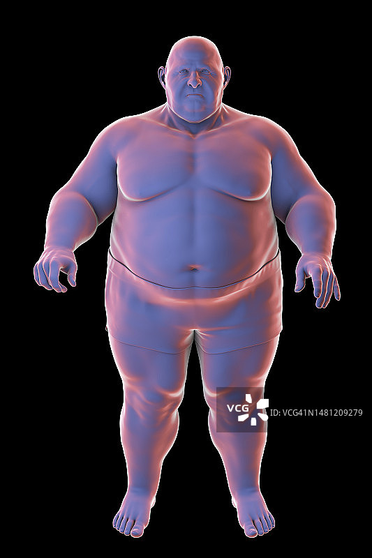 站立的超重男子插图图片素材
