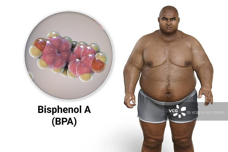 塑料与肥胖的关联概念插图图片素材