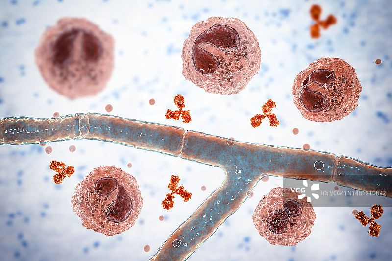 斯普伦多雷-赫普利现象插图图片素材