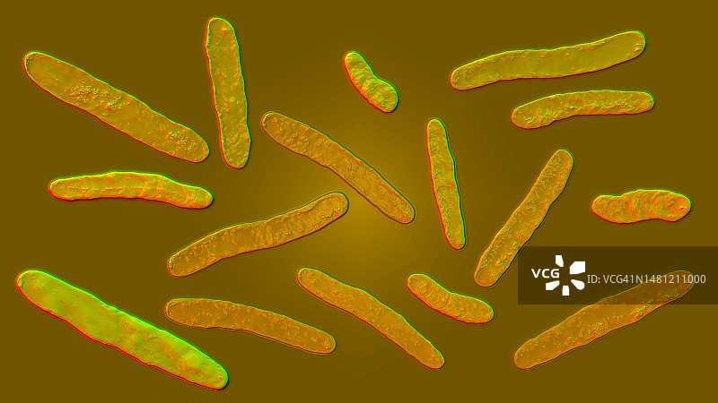 结核杆菌示意图图片素材