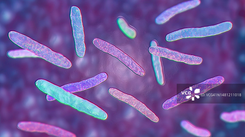 结核杆菌示意图图片素材