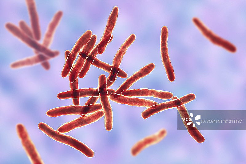 溃疡分枝杆菌细菌插图图片素材
