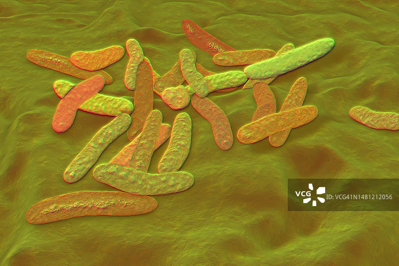 四氢假单胞菌细菌，图示图片素材