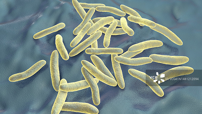 四氢假单胞菌细菌，图示图片素材