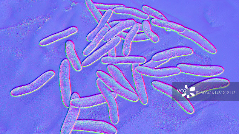 四氢假单胞菌细菌，图示图片素材
