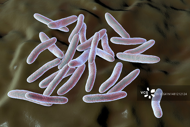 四氢假单胞菌细菌，图示图片素材