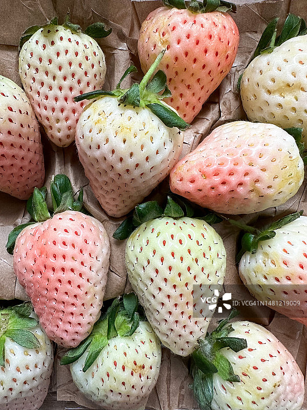 白色珍珠草莓图片素材