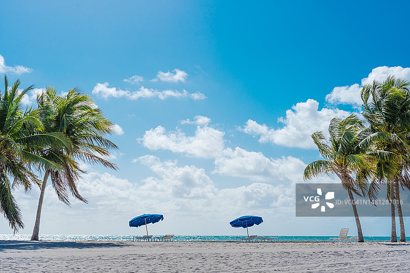 克兰登公园海滩的热带风景公路图片素材