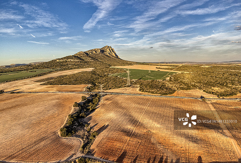 冬季航拍农业景观，葡萄园图片素材