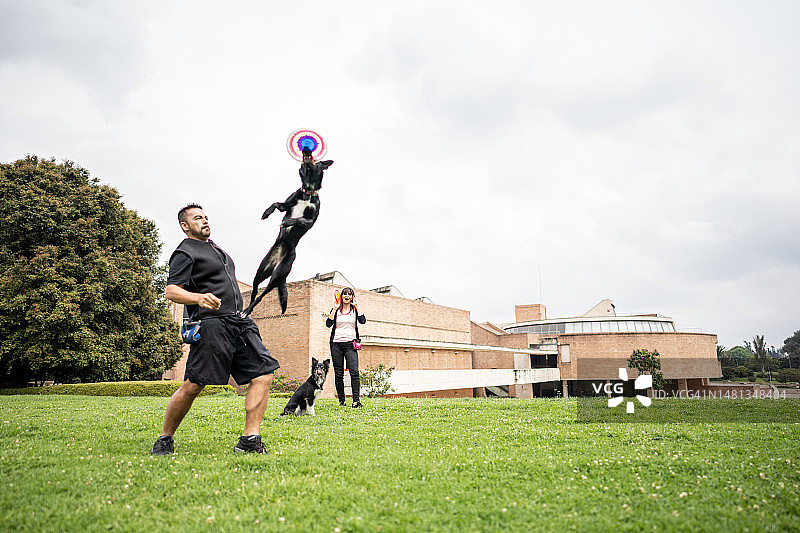 动物训练师在公园教狗训练技巧图片素材