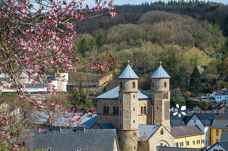 鲜艳的花朵与德国巴特明斯特艾费尔小镇图片素材