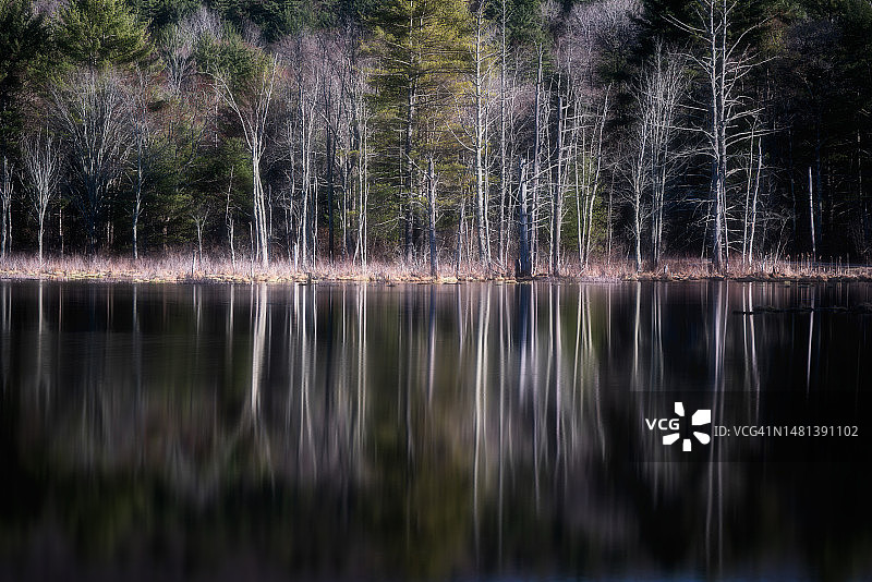 美国森林湖泊风光图片素材