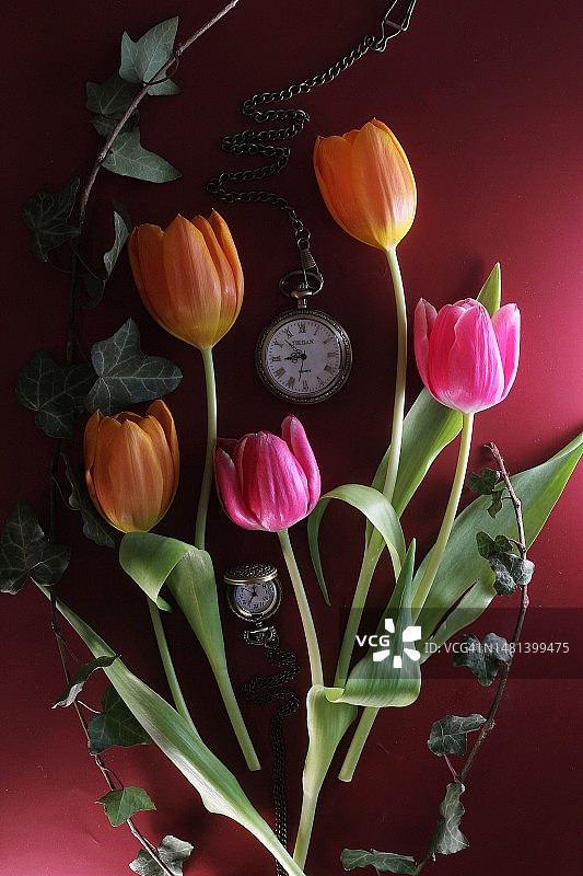 我需要更多时间和郁金香图片素材