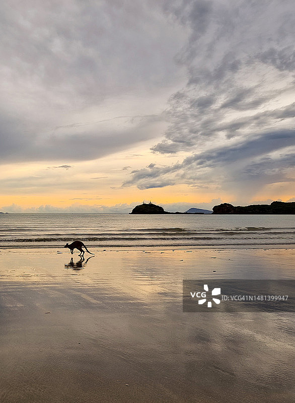 澳大利亚日落时在海滩骑自行车的男子轮廓图片素材