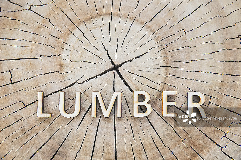森林树桩上用木头字母拼写的“木材”字样图片素材