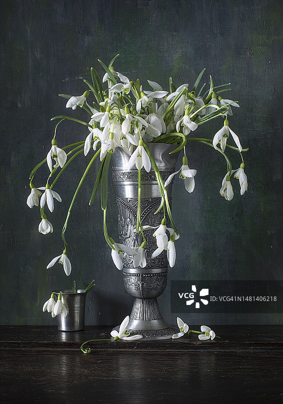 插满雪花莲的高脚杯静物摄影，乌克兰图片素材