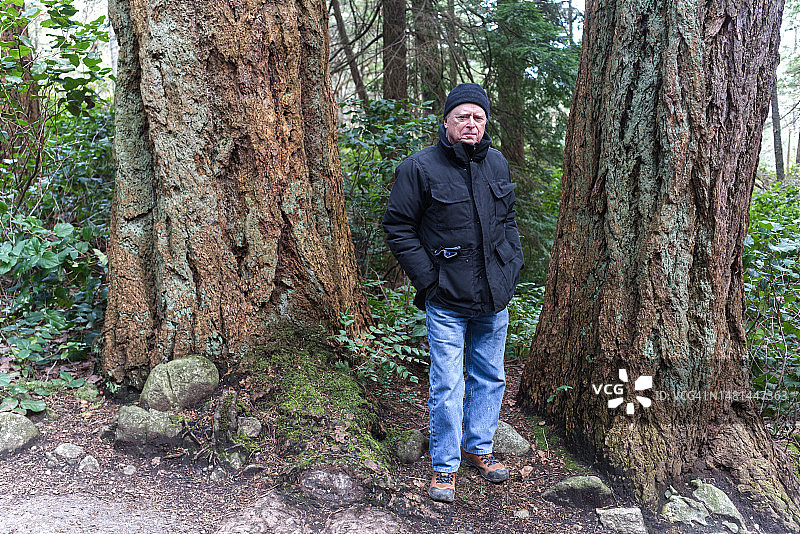 4823灯塔公园里站在古树之间的老年男子图片素材