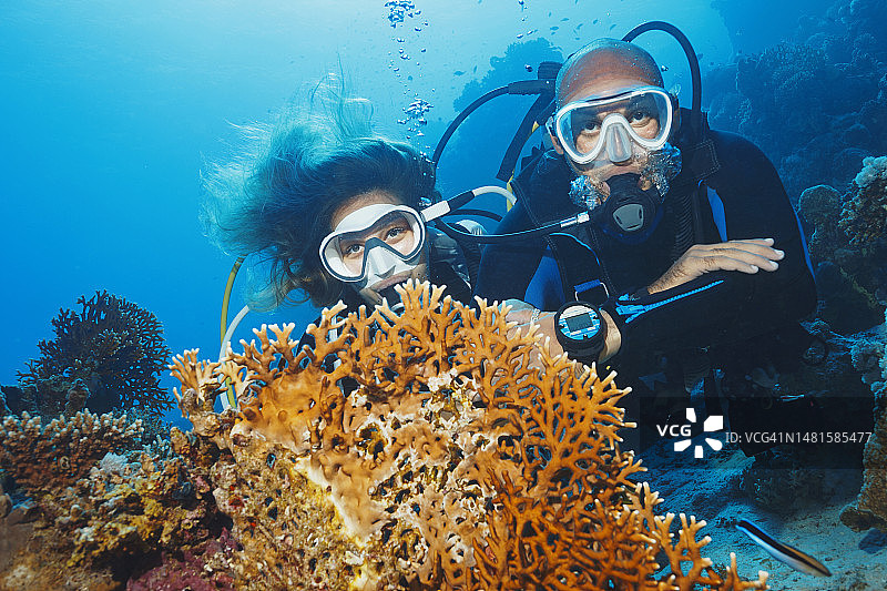 水下摄影：潜水员情侣和珊瑚图片素材