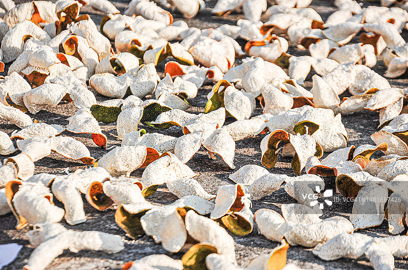 新会陈皮，广东柑橘皮图片素材