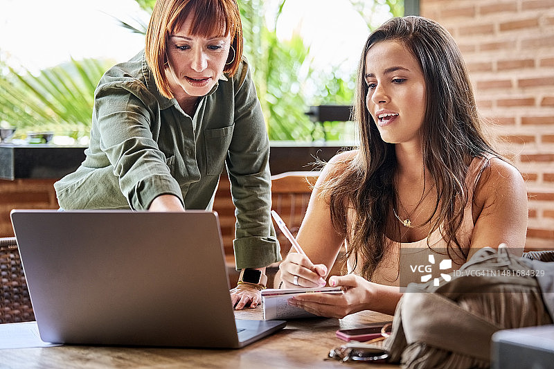 两名女人在家用笔记本电脑一起工作图片素材