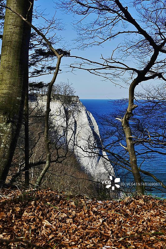 德国亚斯蒙德国家公园的白垩悬崖图片素材